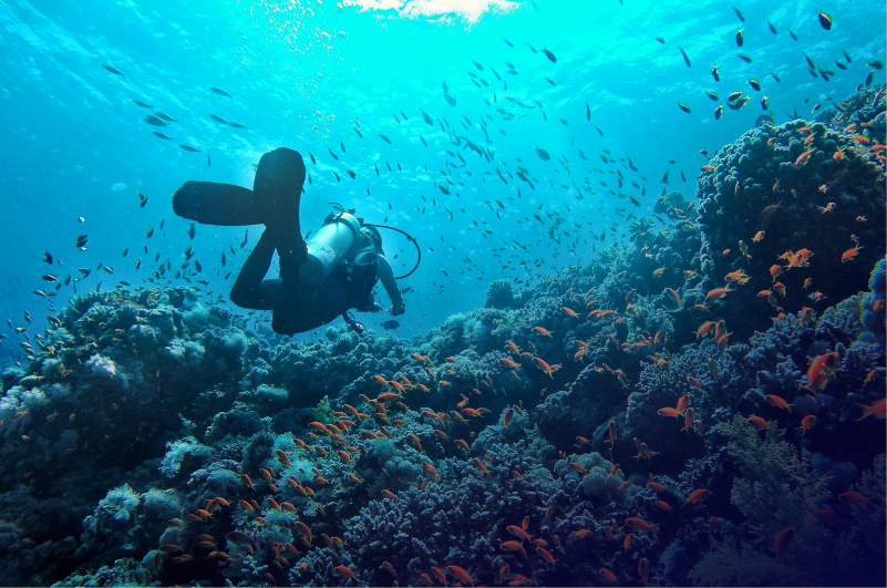 باقة ينبع الصناعية والشاطئية